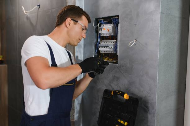 Best Electrical System Inspection  in Sheridan, IL